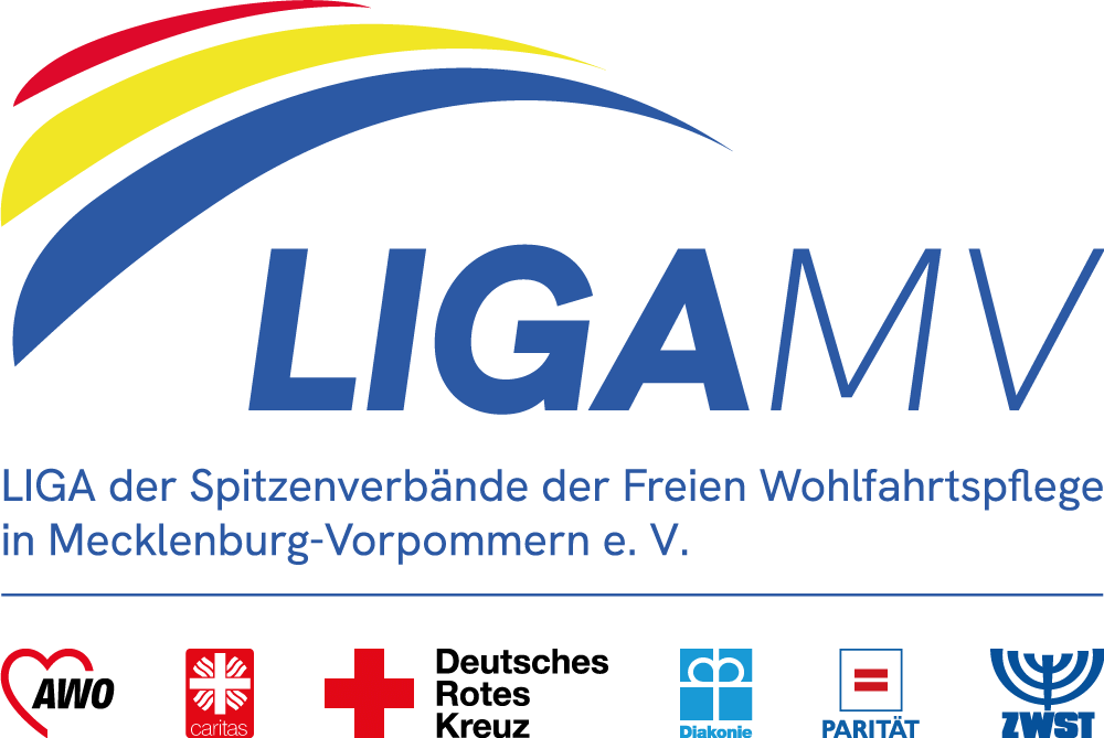 Logo Liga MV